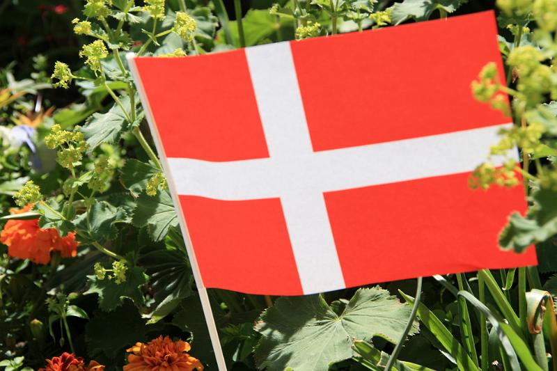 IMG_0124.jpg - Dansk fødselsdagsflag i haven. -- Danish Birthday flag in the garden.